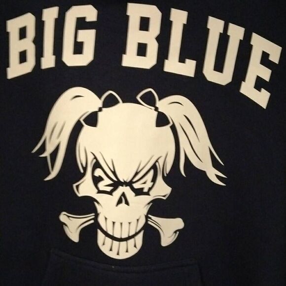 Pennant Big Blue Hoodie, XS, Dark Blue, Awesome Graphic NWT - Picture 1 of 7
